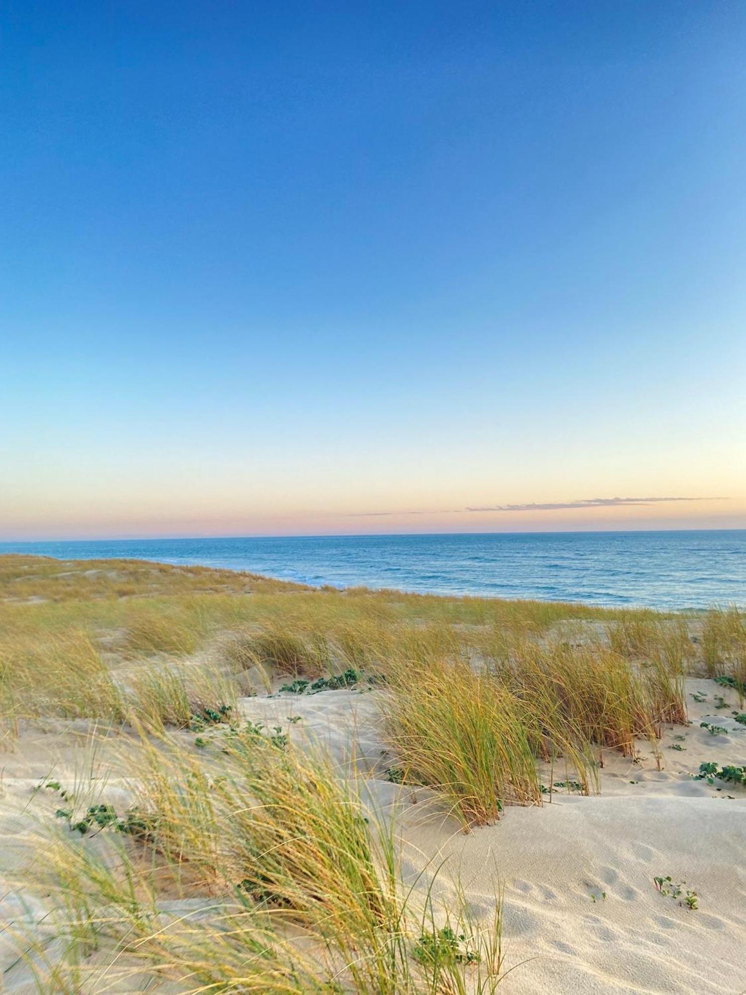 Cocon Entre Presqu'Ile Du Cap Ferret Et Plages Oceanes - Terrasse - 1 Velo Gratuit Ares Exterior foto